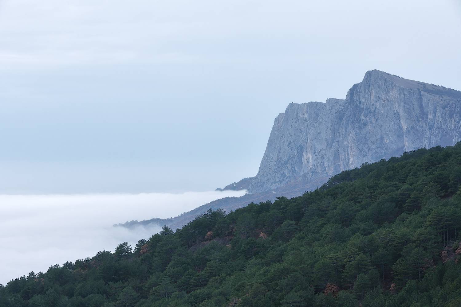 крым, осень, лес, горы., Владимир Дубинин