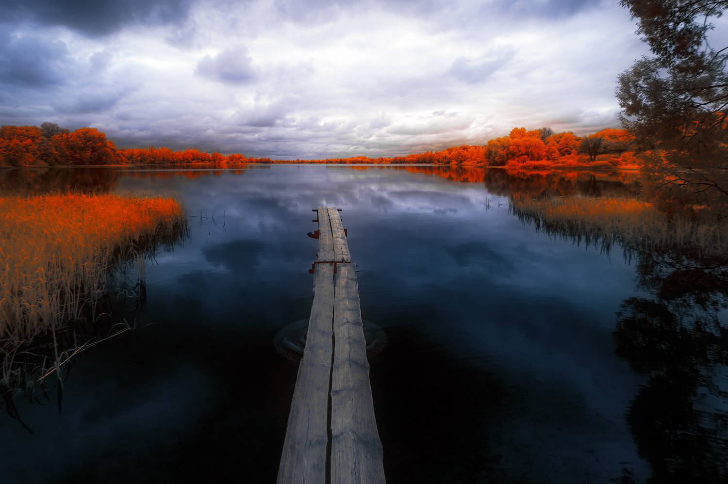 infrared,ик-фото,инфракрасное фото, инфракрасная фотография, пейзаж, осень,  Sixten (Сергей)