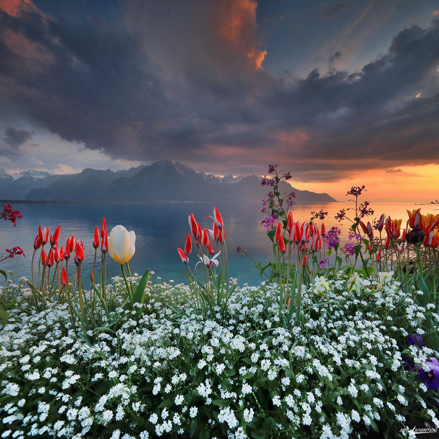 swiss,швейцария,весна,montreux, Николай Матвеев
