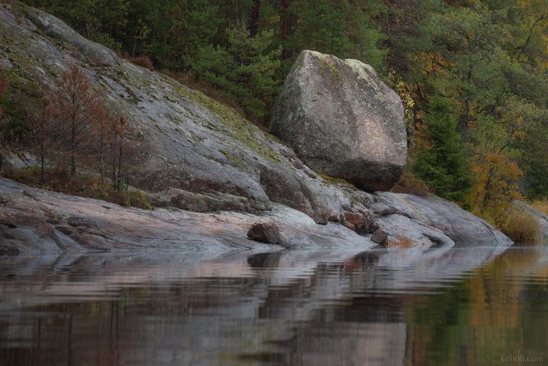 выборг, беличий залив, в лесах под выборгом, золотая осень, туман, отражения осени, беличьи скалы, карельский перешеек Осень Беличьего залива фото превью