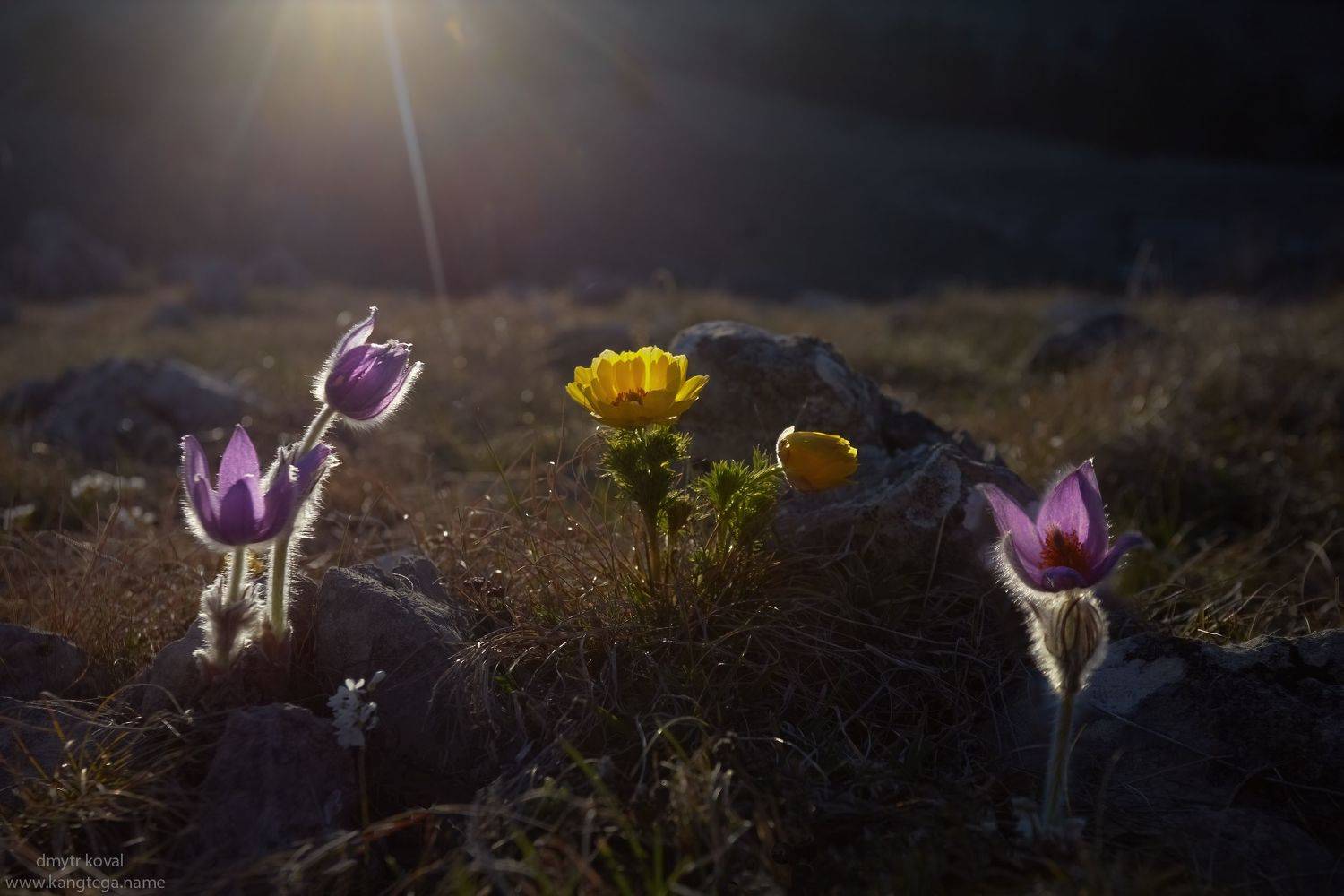 дмитр коваль, гималаи и крым вне треков, пейзаж как магия, Коваль Дмитр