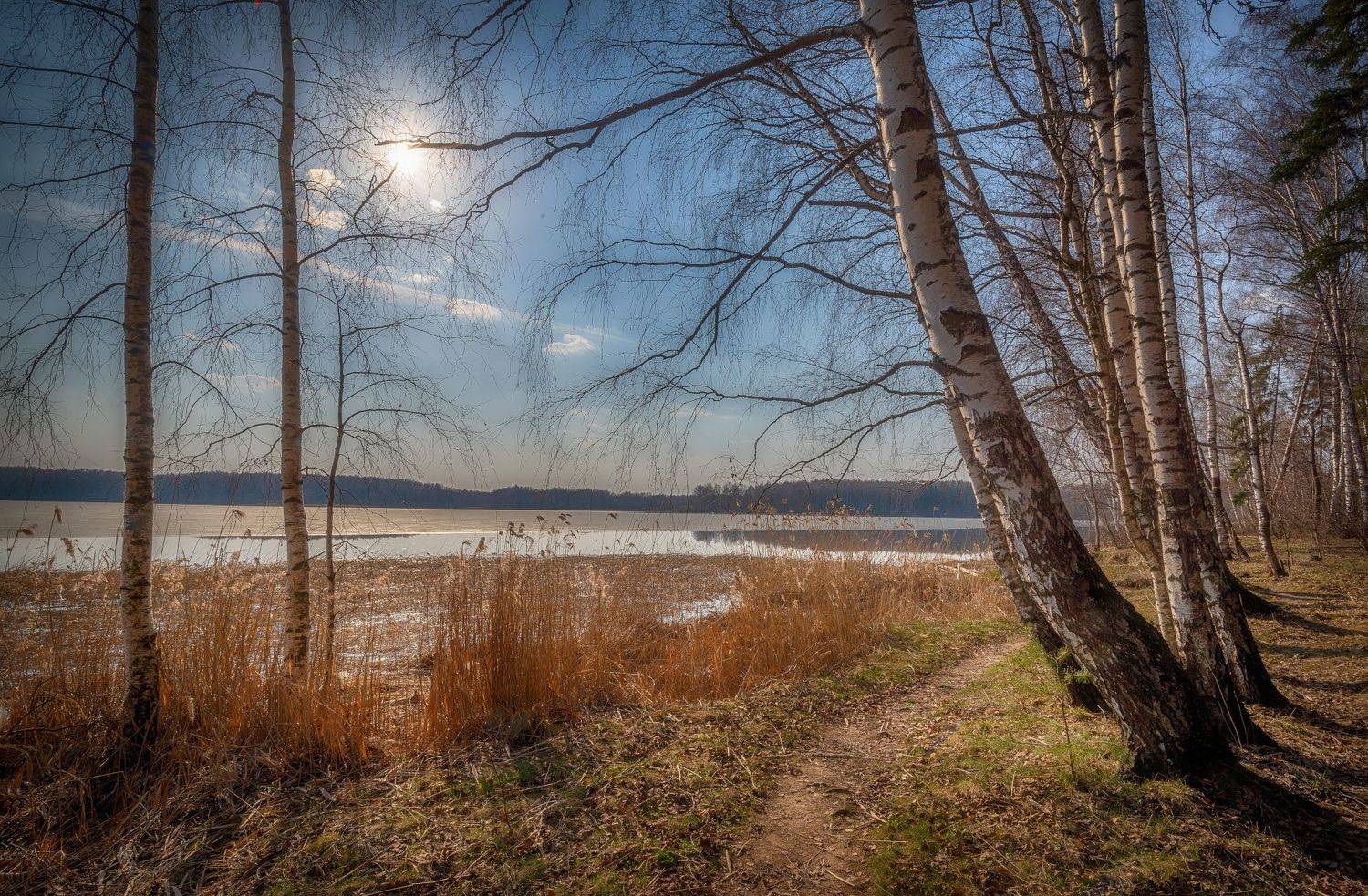 весна, берег, апрель, лес, берёзы, Сергей Аникин