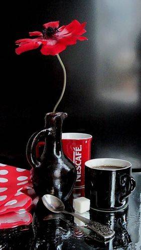 С красным анемоном