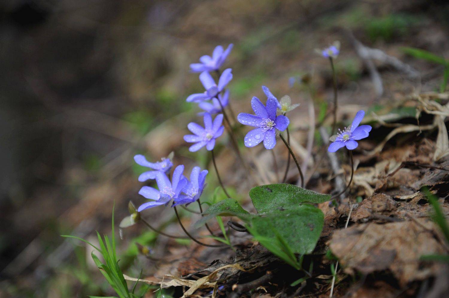 , Васильева Дарья