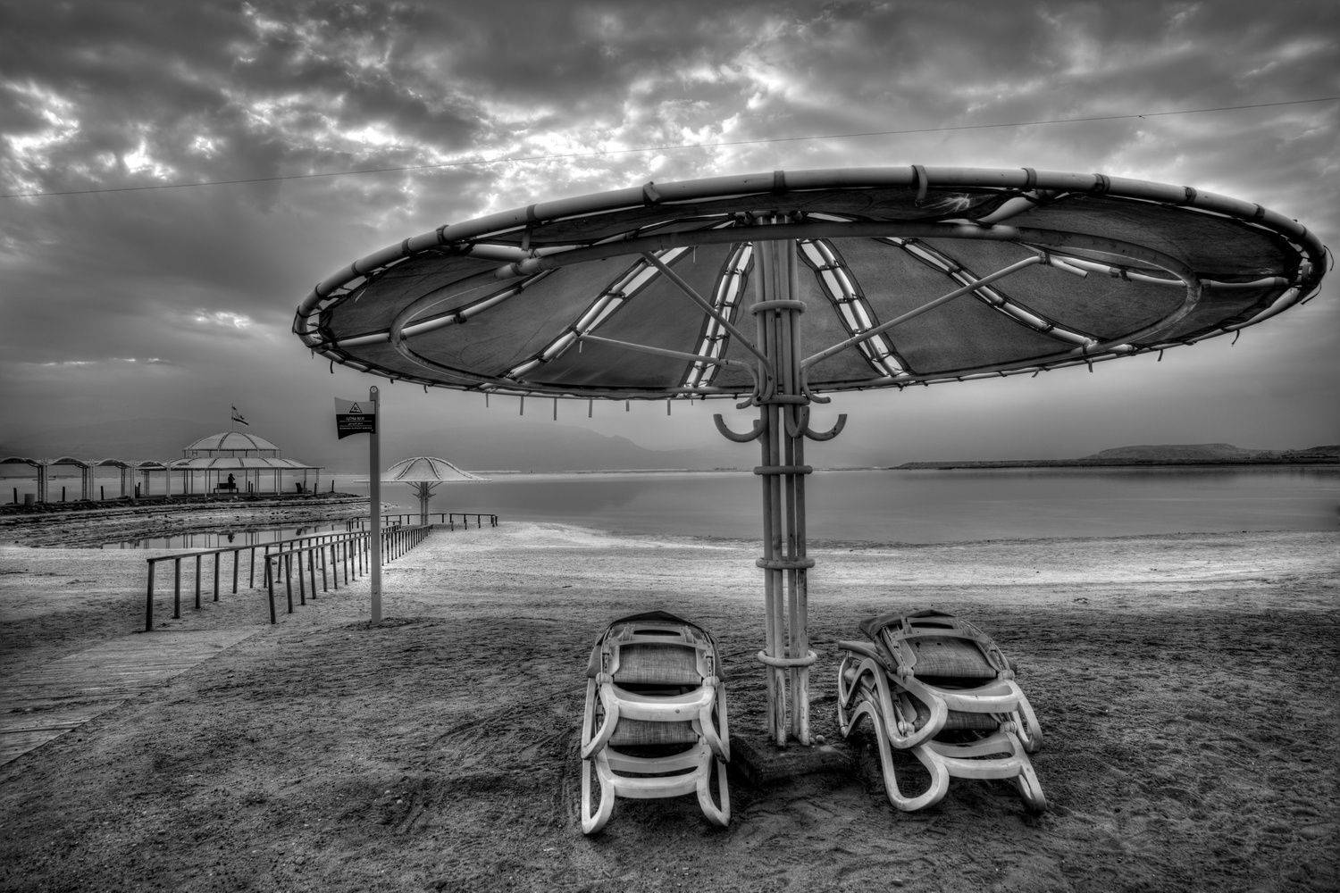 , David Solodar