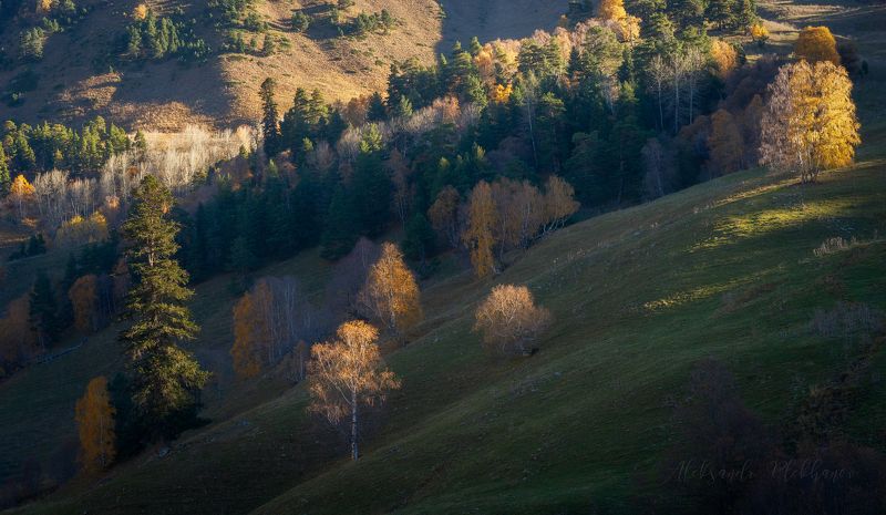 Свет на склоне фото превью