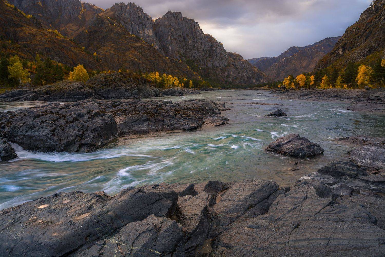 россия, горный алтай, река катунь, осень, вечер, Андрей Поляков