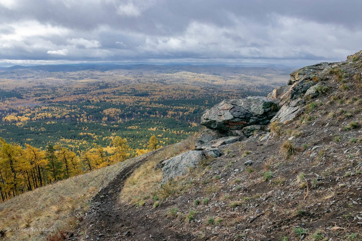 , Алексей Середенин