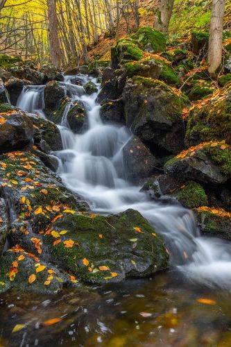 The colors of Autumn 