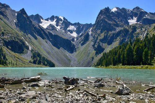 Дикая необузданная красота Горного Алтая