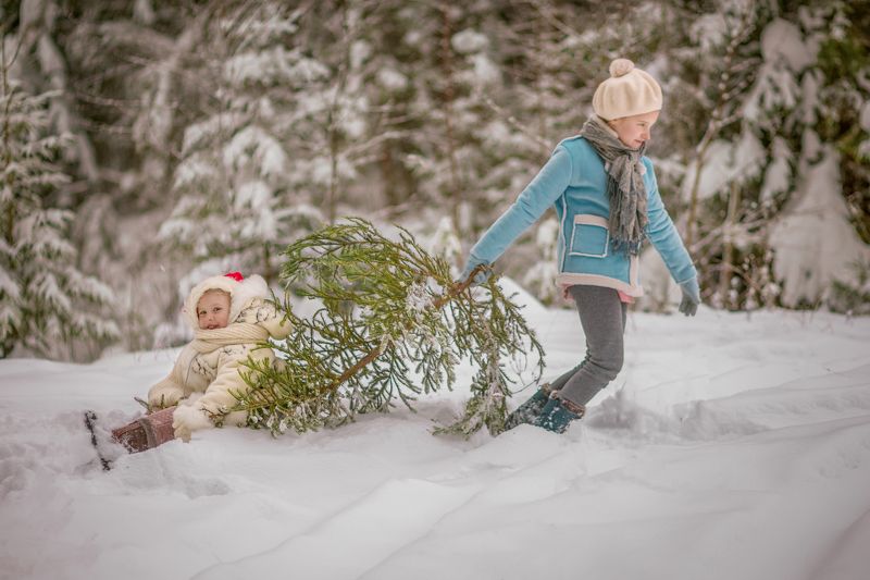 детство,новый год, дети, сказка 12 месяцев фото превью