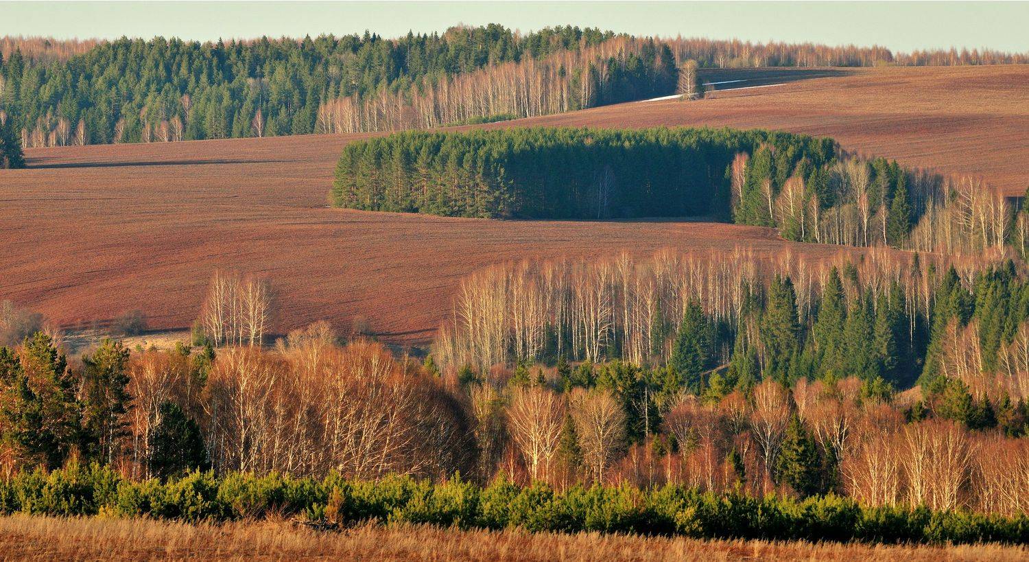 , Андрей Зыкин