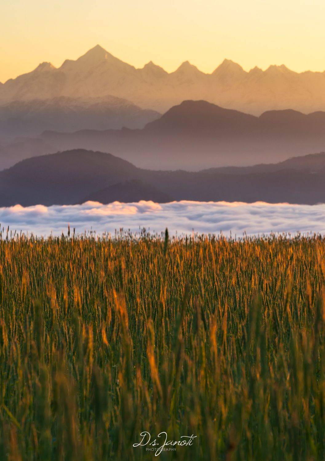 #morning #himalaya #nature #landscape #beauty #beautiful #india #sunrise #uttarakhand #travel, Digvijay singh Janoti