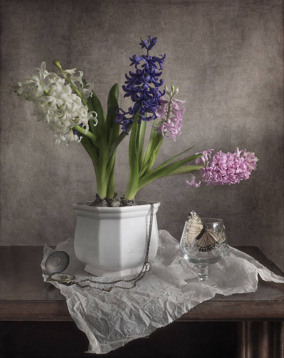 , Виктория Солодар