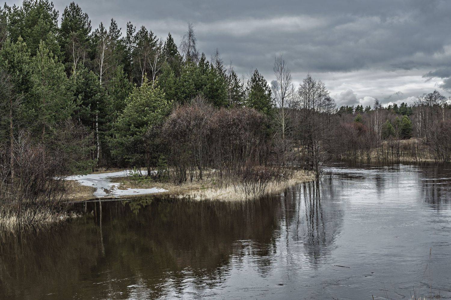весна., Шитов Александр