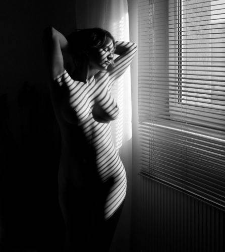 Shadow Lines
