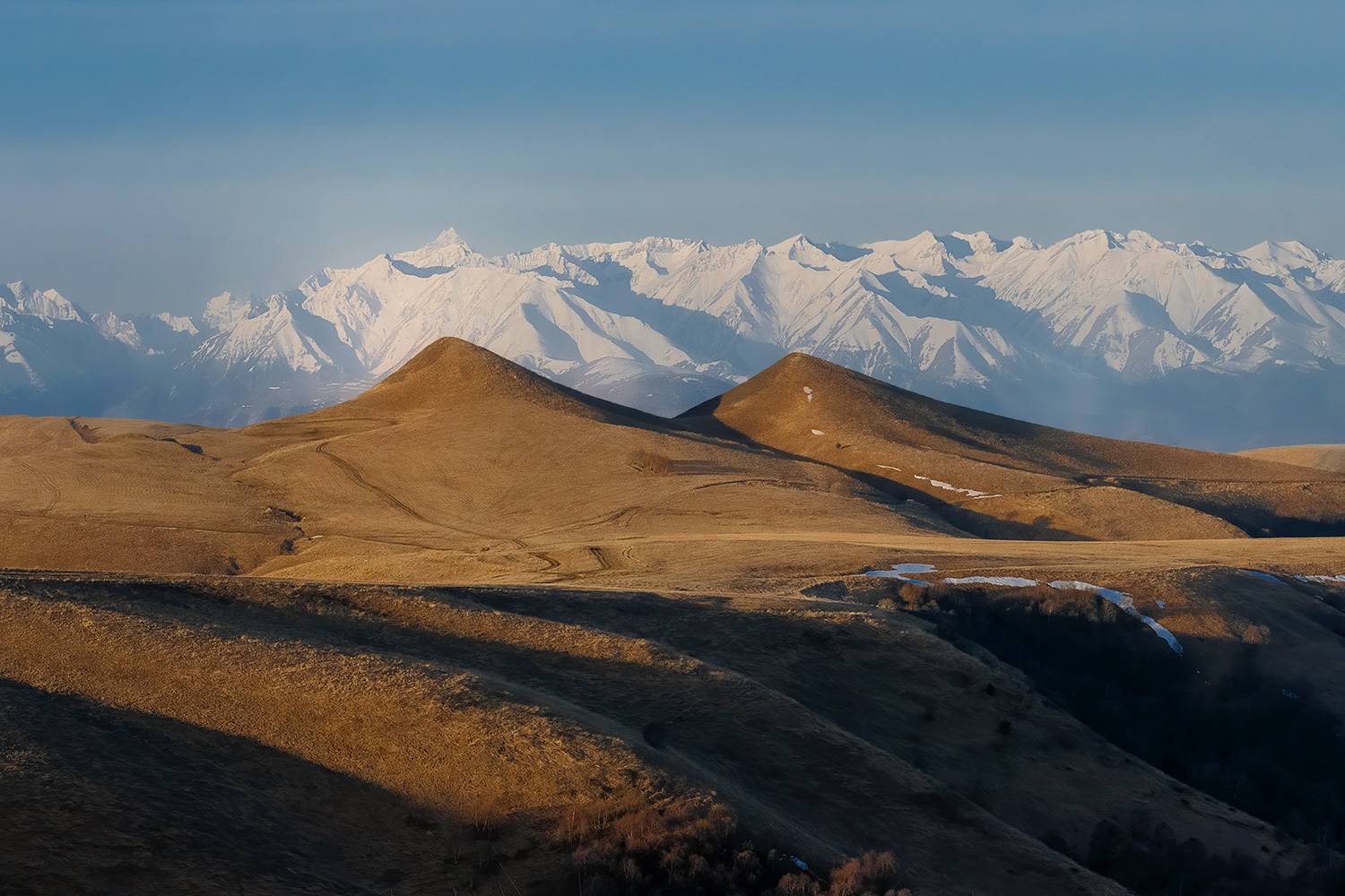 , Алиева Татьяна