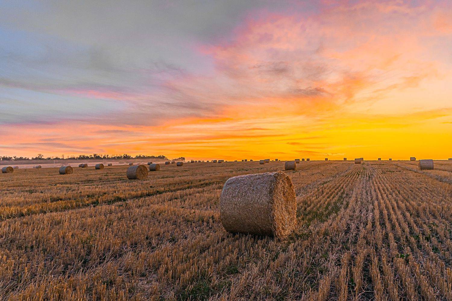 сентябрь, вечерняя заря,, Николай Бологов