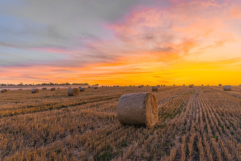 сентябрь, вечерняя заря, Вечерняя заря.догорает фото превью