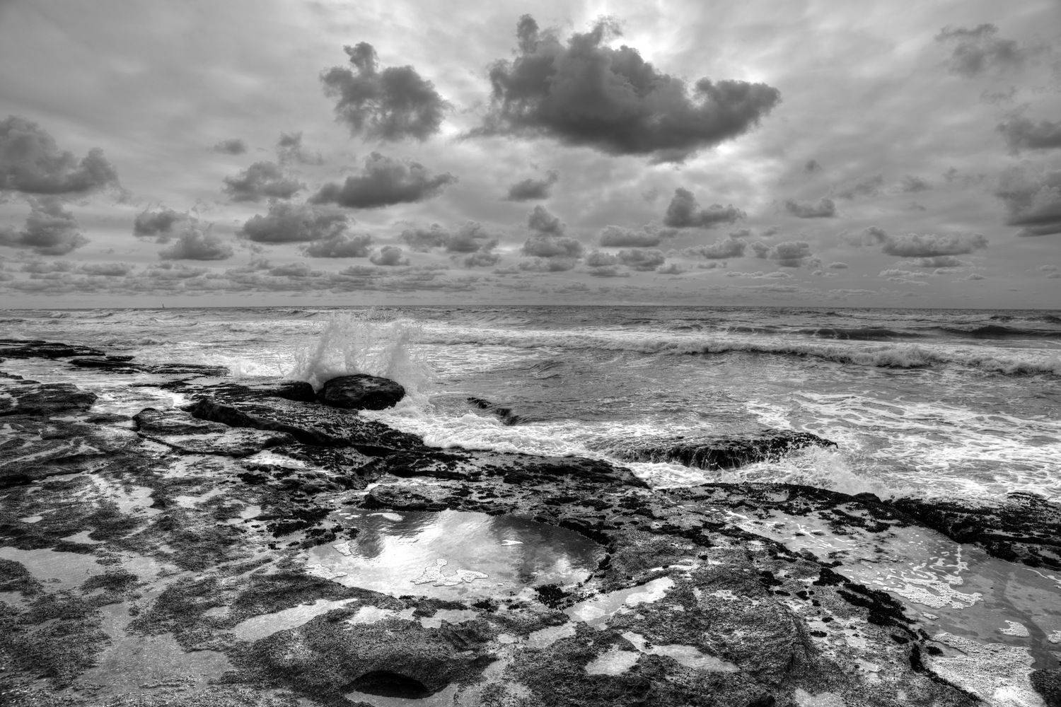 , David Solodar