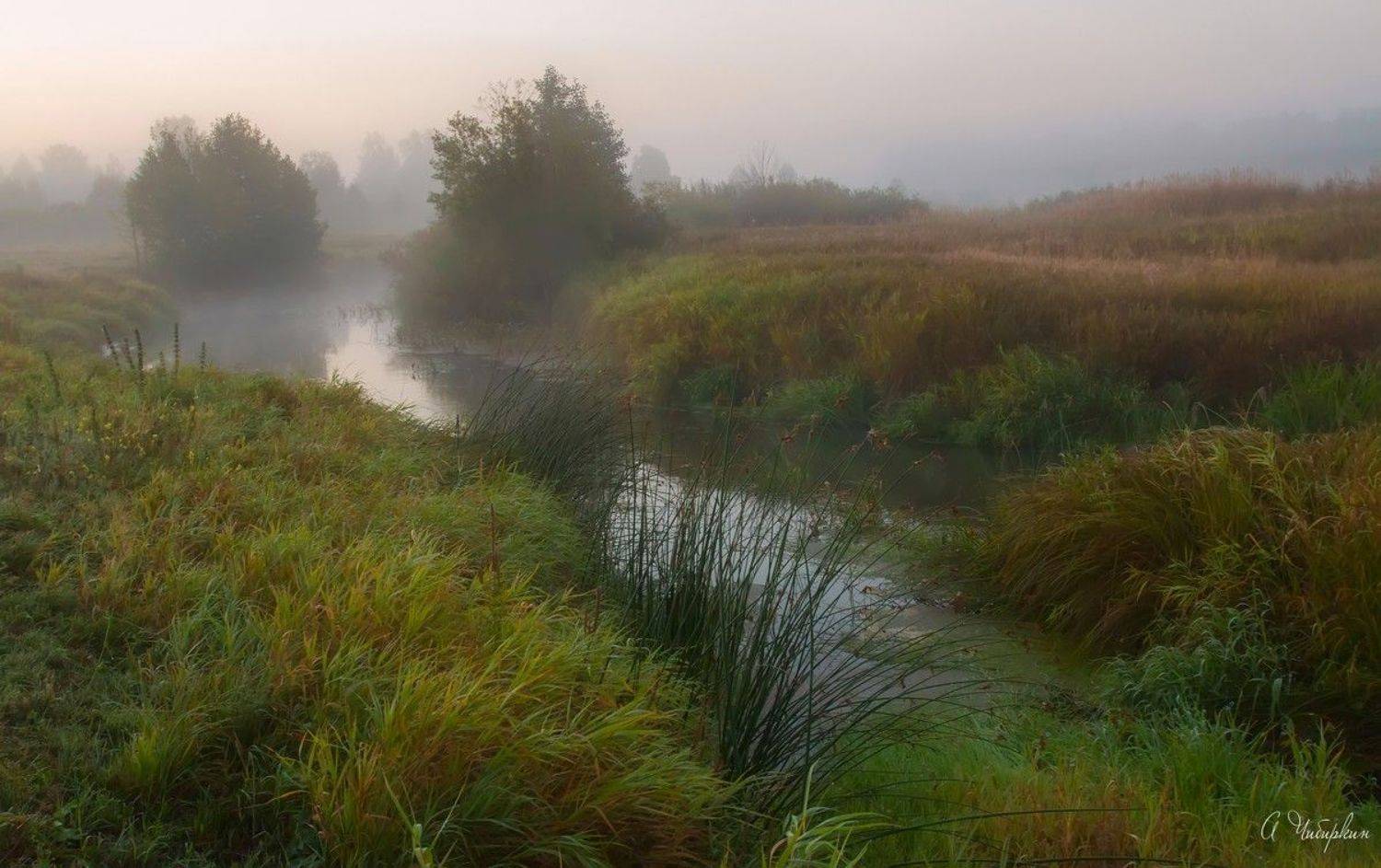 Лето, утро, рассвет, туман, река, Александр Чибиркин