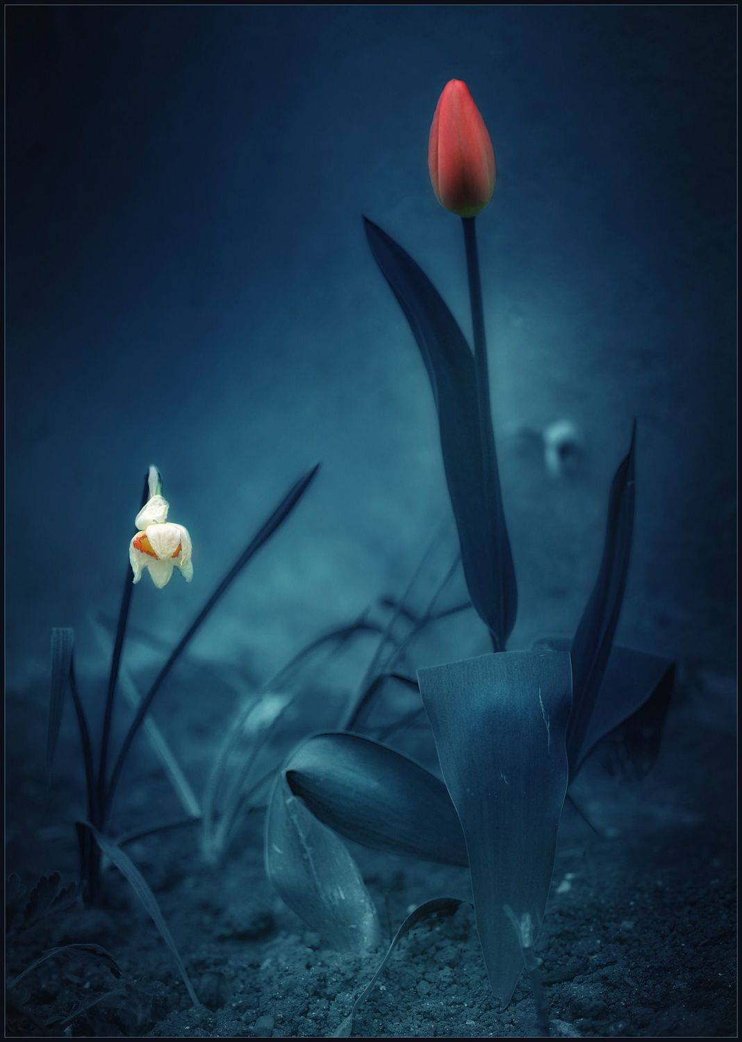 , Хромеев Александр