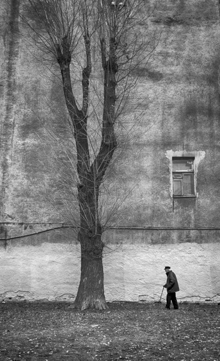 , Денис Никулин