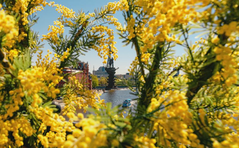 кресль, храм христа спасителя, центр, москва, столица, пасхальный дар, декорации, патриарший мост, moscow, kremlin декорации на Патриаршем мосту фото превью