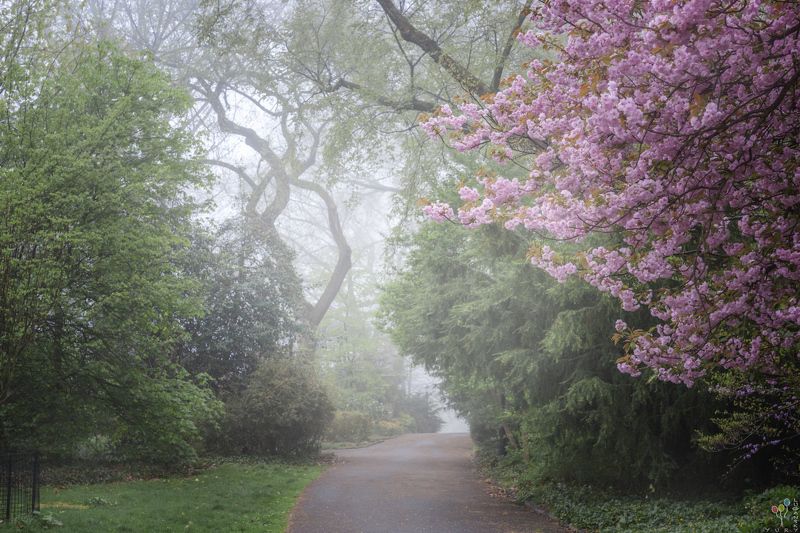 Fort Tryon Park фото превью