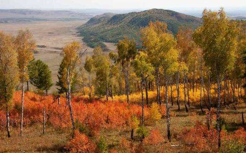 Осенний пожар