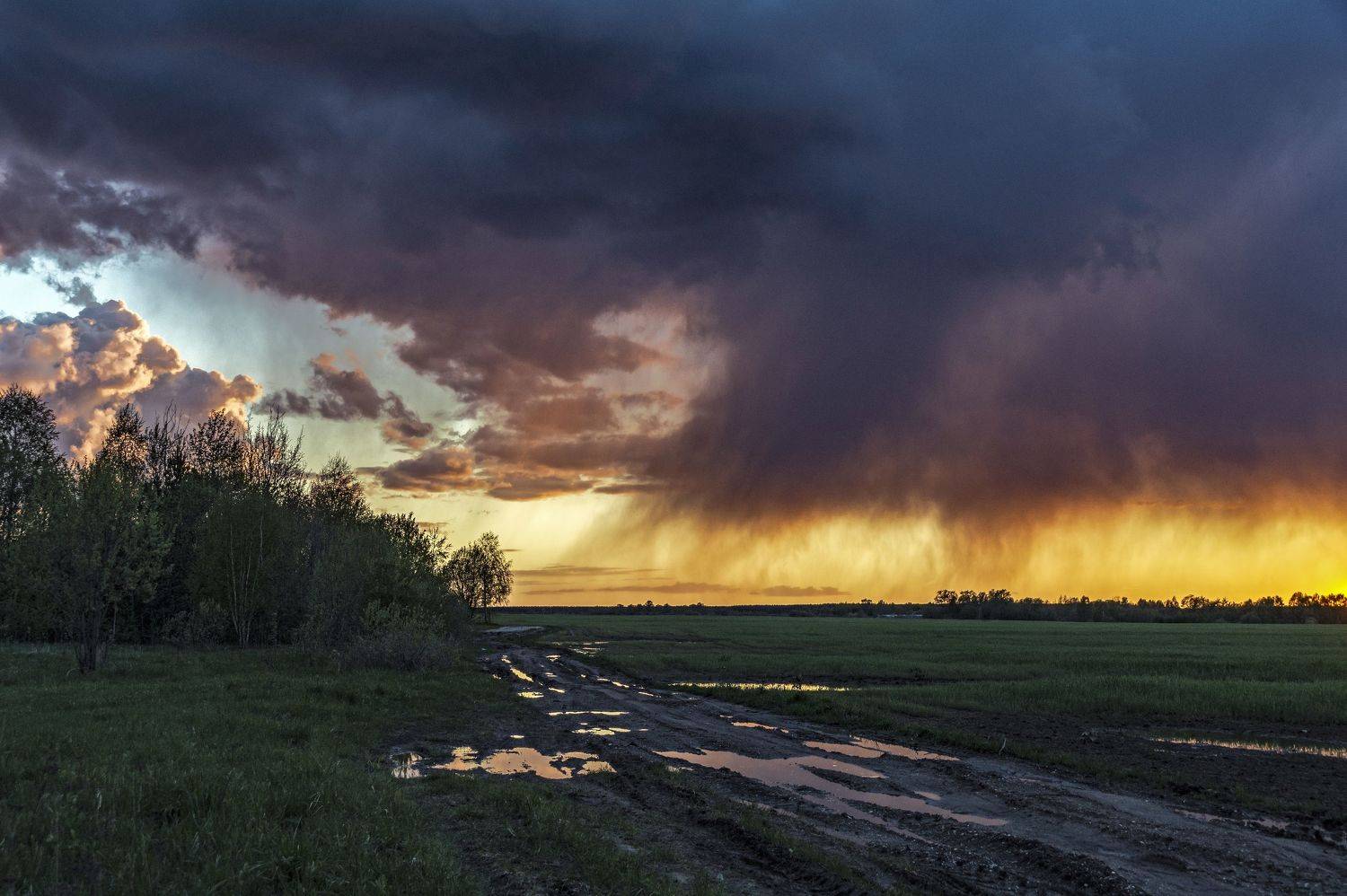 весна., Шитов Александр