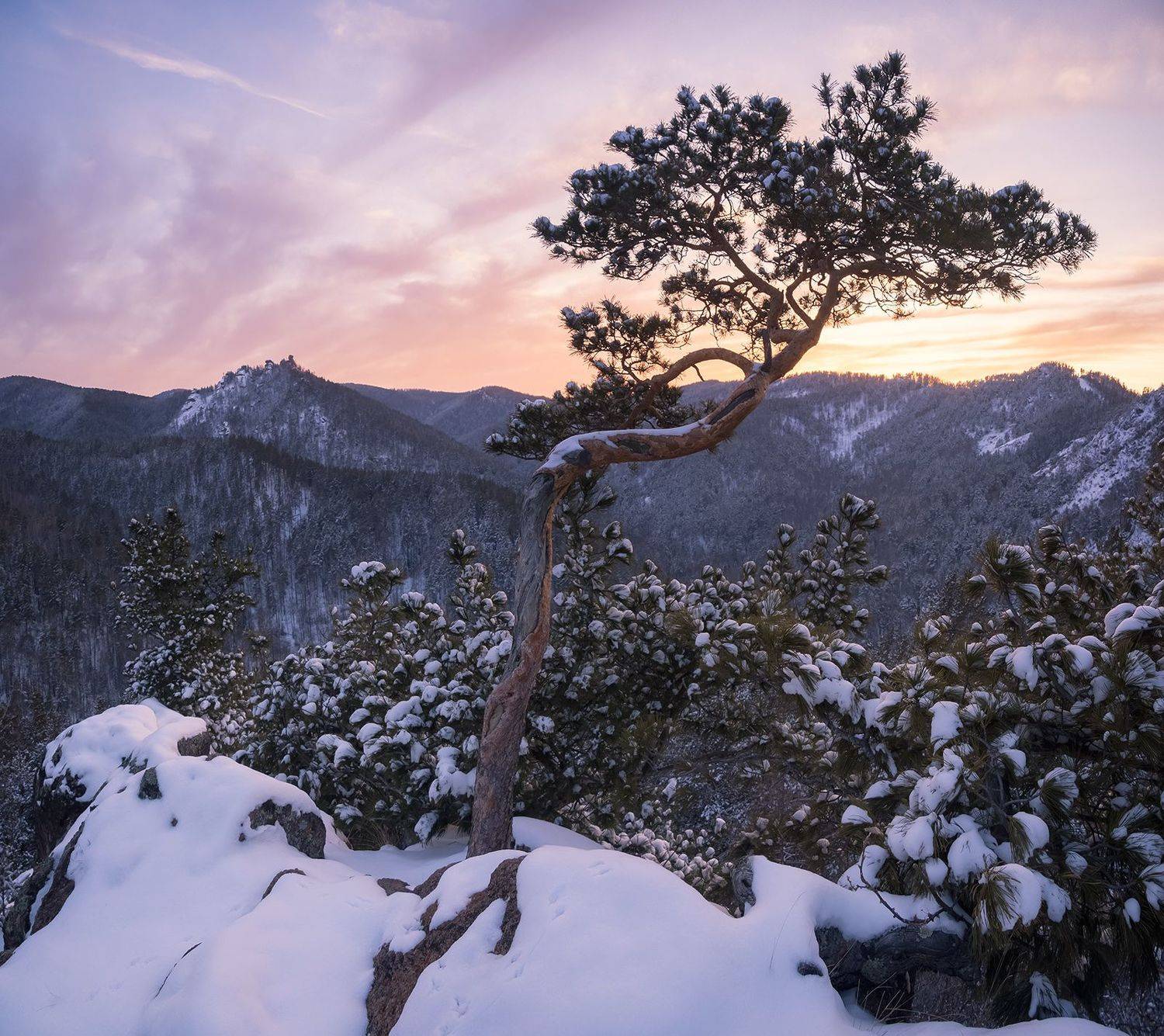 , Лещёнок Александр