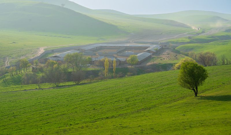 узбекистан, uzbekistan Ферма фото превью