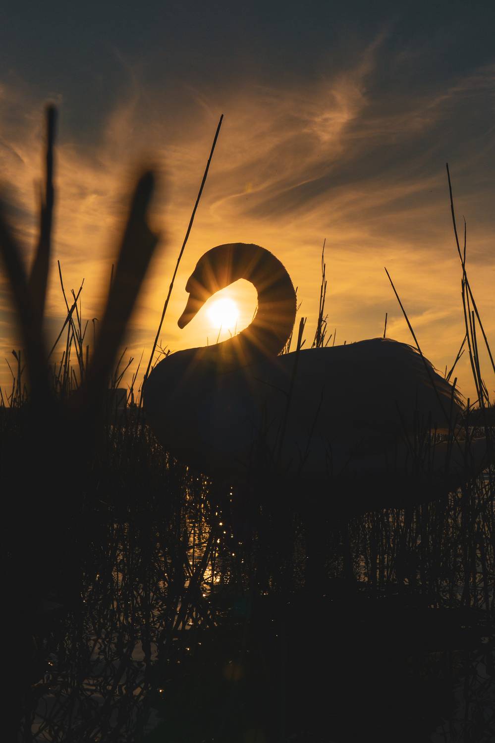, Кривцов Андрей