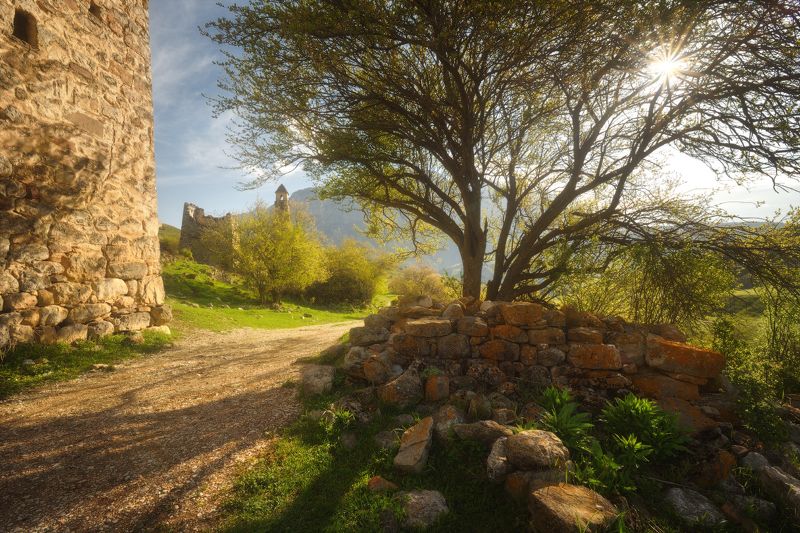 ингушетия, заповедник эрзи, башенные комплексы, весна, цветение, фототур в ингушетию, горы, тени, фототур на майские праздники Тени фото превью
