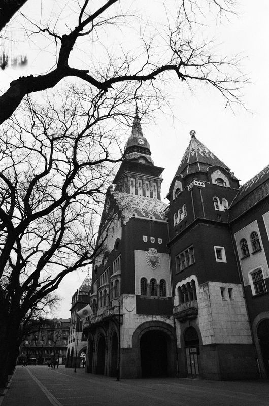 пленка, сербия, 35mm, film, analog, filmphoto, travel, serbia, kodak, tri-x, iso400 Сербия фото превью