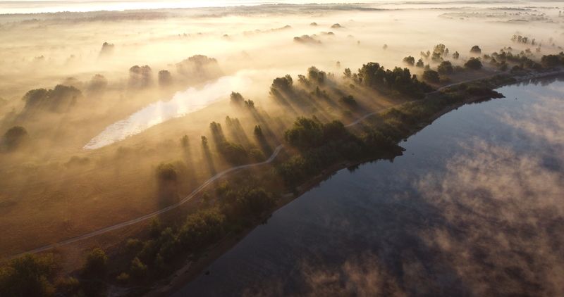 Летнее утро фото превью