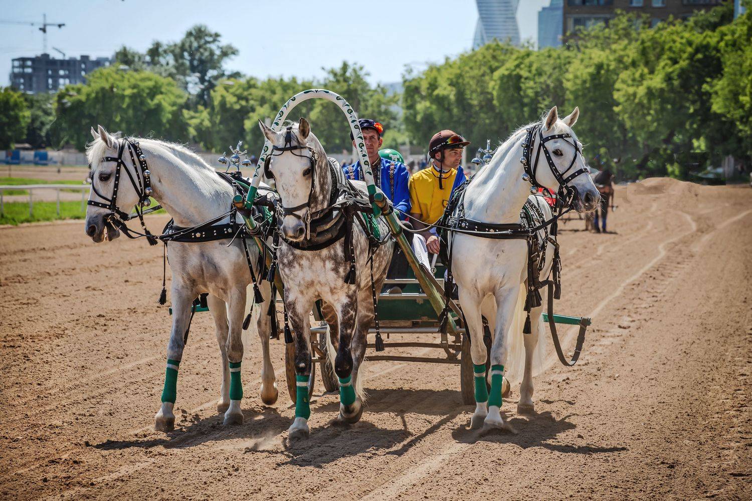 иподром....москва, Бирюков Вячеслав