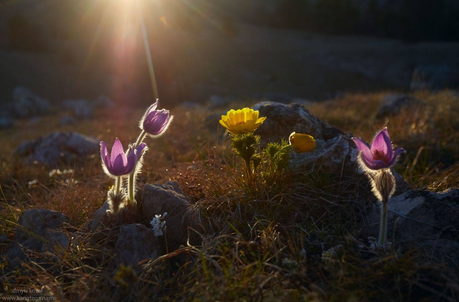 дмитр коваль, гималаи и крым вне треков, пейзаж как магия, Коваль Дмитр