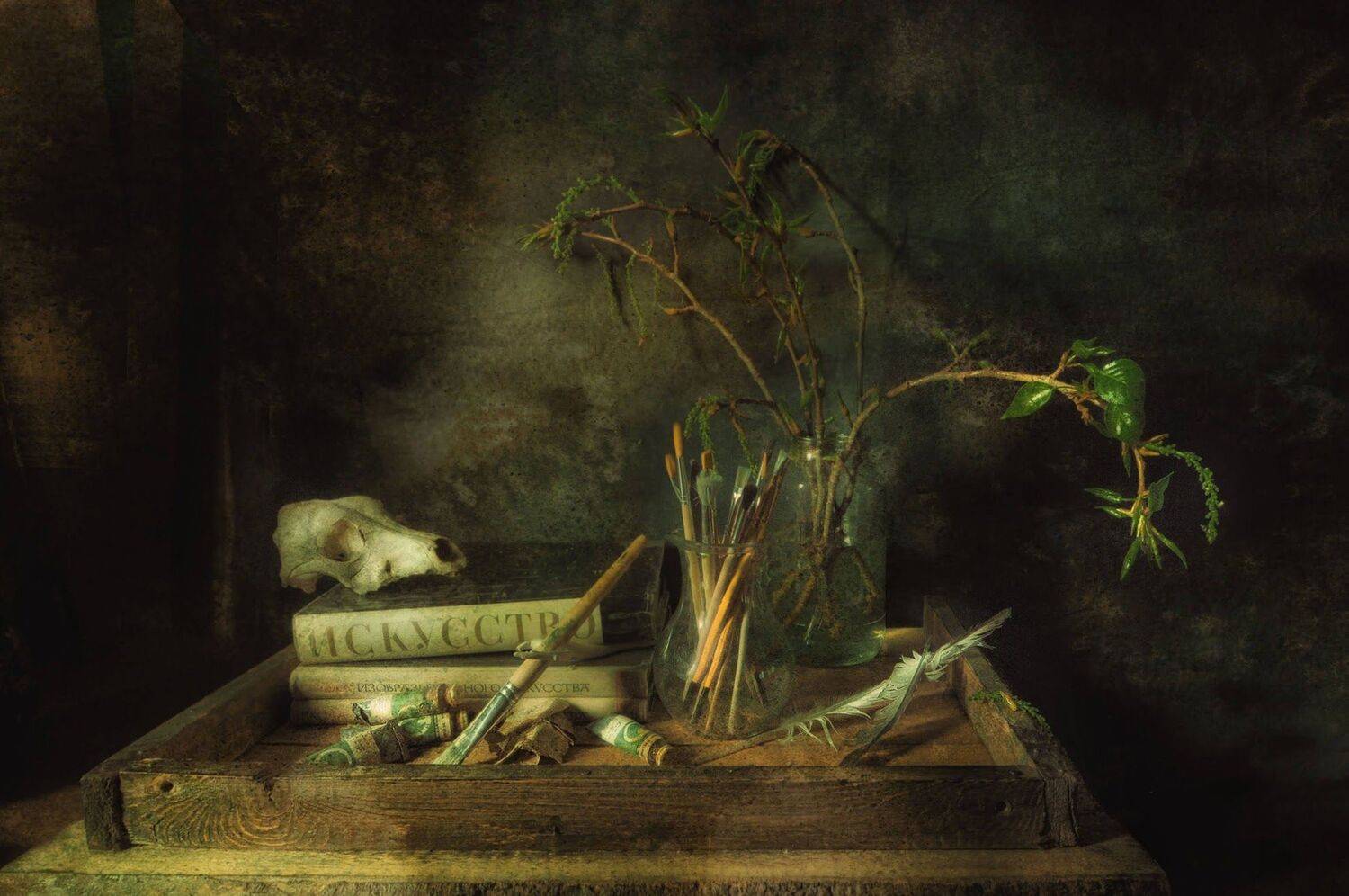 , Ирина Данилова