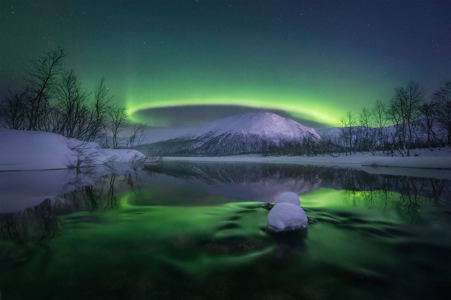 , Елена Ермолина