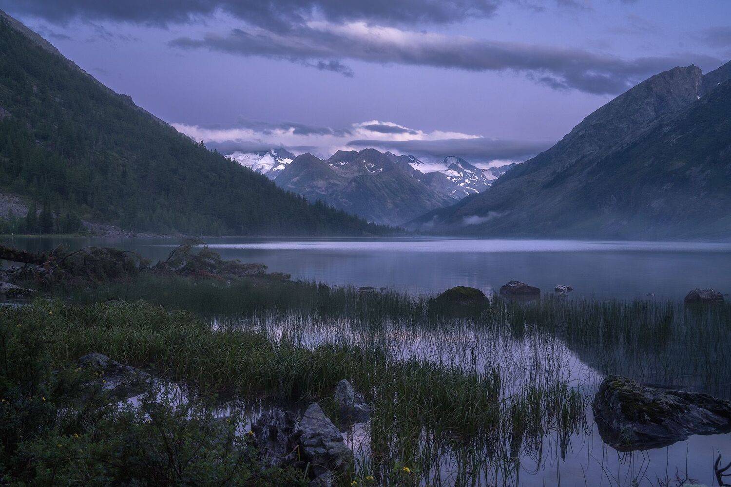 , Владимир Ляпин