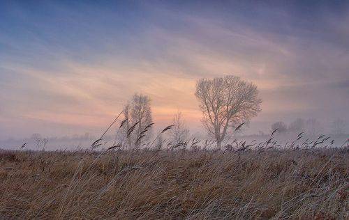 Осенним утром