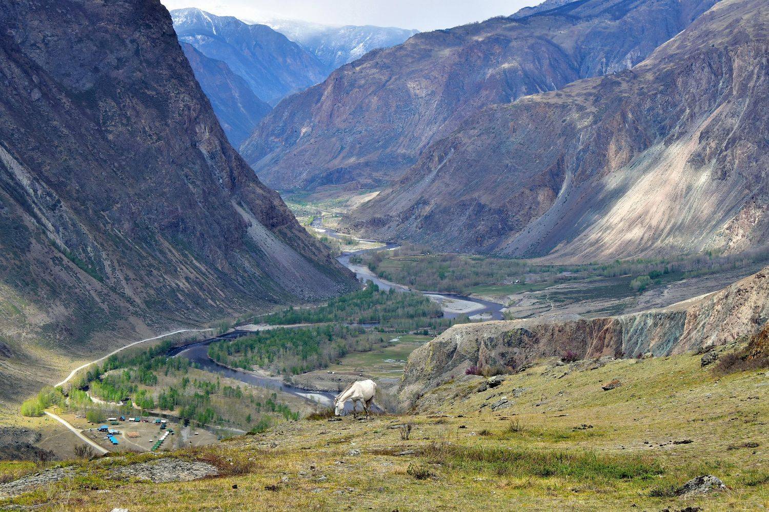 пейзаж, природа, путешествие, горы, панорама, алтай, Наталия Щербина