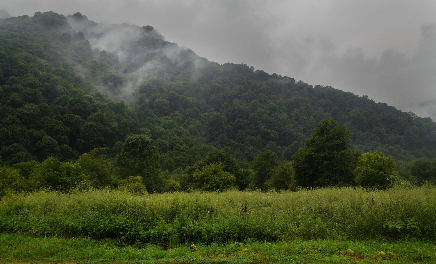 , Лысенко Сергей