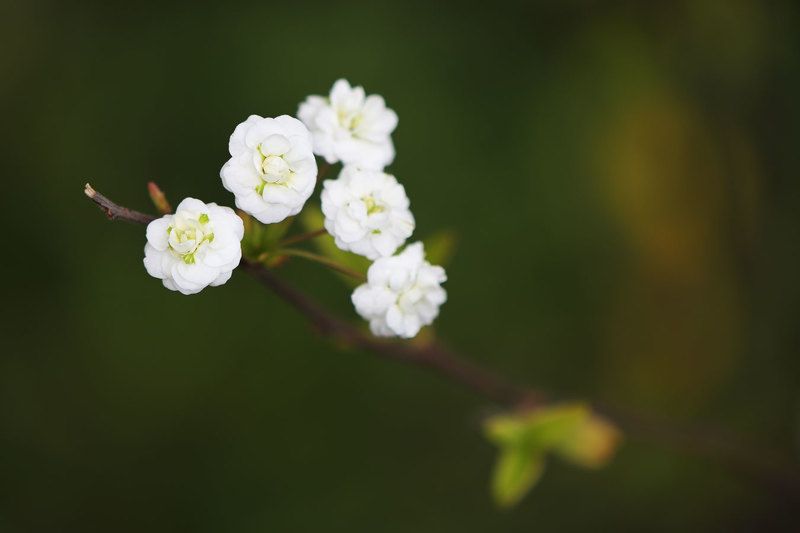 2023 фото превью