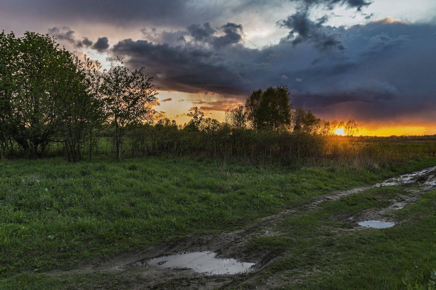 весна., Шитов Александр