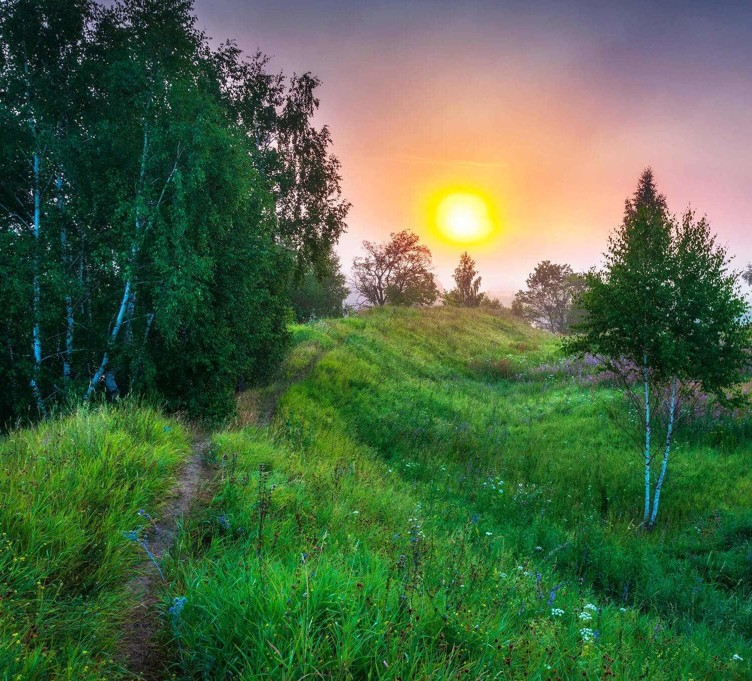 , Павел Ныриков