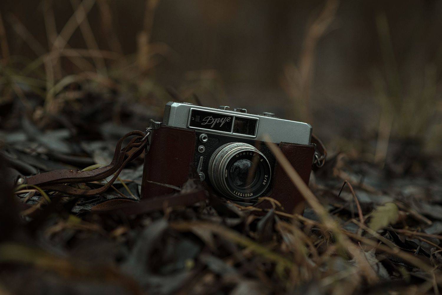 пленочный фотоаппарат друг осень трава капли дождь, Сальников Евгений