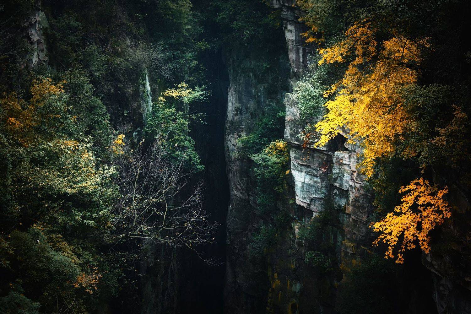 , Усманов Рашид